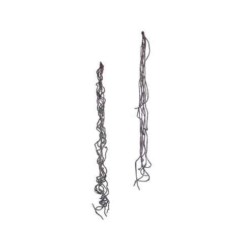 RADICE H.68CM. 2 ASSORTITI